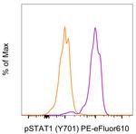 Phospho-STAT1 (Tyr701) Antibody in Flow Cytometry (Flow)