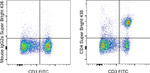 CD4 Antibody in Flow Cytometry (Flow)