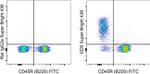 CD5 Antibody in Flow Cytometry (Flow)