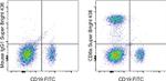 CD8a Antibody in Flow Cytometry (Flow)