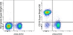 CD19 Antibody in Flow Cytometry (Flow)