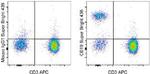 CD19 Antibody in Flow Cytometry (Flow)