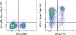 CD62L (L-Selectin) Antibody in Flow Cytometry (Flow)