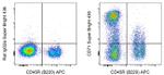 CD71 (Transferrin Receptor) Antibody in Flow Cytometry (Flow)