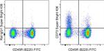 CD73 Antibody in Flow Cytometry (Flow)