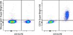 CD74 Antibody in Flow Cytometry (Flow)