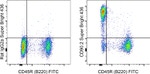 CD90.2 (Thy-1.2) Antibody in Flow Cytometry (Flow)