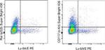 CD117 (c-Kit) Antibody in Flow Cytometry (Flow)