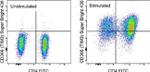 CD366 (TIM3) Antibody in Flow Cytometry (Flow)