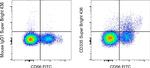 CD335 (NKp46) Antibody in Flow Cytometry (Flow)