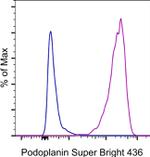 Podoplanin Antibody in Flow Cytometry (Flow)