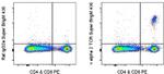 TCR V alpha 2 Antibody in Flow Cytometry (Flow)