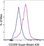 CD309 (FLK1) Antibody in Flow Cytometry (Flow)