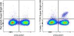 TCR V beta 11 Antibody in Flow Cytometry (Flow)