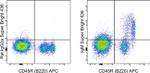 IgM Antibody in Flow Cytometry (Flow)