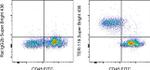 TER-119 Antibody in Flow Cytometry (Flow)