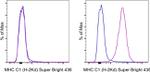 MHC Class I (H-2Kd) Antibody in Flow Cytometry (Flow)