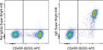 IgD Antibody in Flow Cytometry (Flow)