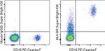 HLA-DR Antibody in Flow Cytometry (Flow)