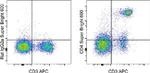 CD4 Antibody in Flow Cytometry (Flow)