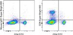 CD8a Antibody in Flow Cytometry (Flow)