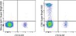 CD8a Antibody in Flow Cytometry (Flow)