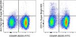 CD11c Antibody in Flow Cytometry (Flow)