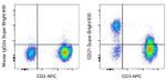 CD21 Antibody in Flow Cytometry (Flow)