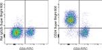 CD24 Antibody in Flow Cytometry (Flow)