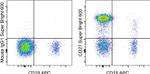 CD27 Antibody in Flow Cytometry (Flow)