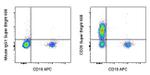 CD28 Antibody in Flow Cytometry (Flow)