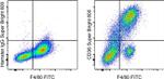 CD36 Antibody in Flow Cytometry (Flow)