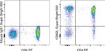 CD62L (L-Selectin) Antibody in Flow Cytometry (Flow)