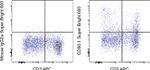 CD90.1 (Thy-1.1) Antibody in Flow Cytometry (Flow)