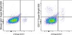 CD117 (c-Kit) Antibody in Flow Cytometry (Flow)