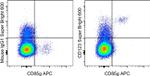 CD123 Antibody in Flow Cytometry (Flow)