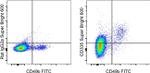 CD335 (NKp46) Antibody in Flow Cytometry (Flow)