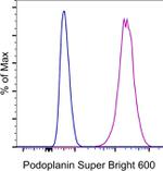 Podoplanin Antibody in Flow Cytometry (Flow)