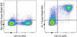 Ly-6G/Ly-6C Antibody in Flow Cytometry (Flow)