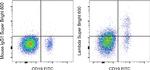 Lambda light chain Antibody in Flow Cytometry (Flow)