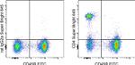 CD4 Antibody in Flow Cytometry (Flow)