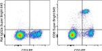 CD8a Antibody in Flow Cytometry (Flow)