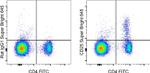 CD25 Antibody in Flow Cytometry (Flow)