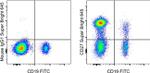 CD27 Antibody in Flow Cytometry (Flow)