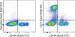 CD71 (Transferrin Receptor) Antibody in Flow Cytometry (Flow)