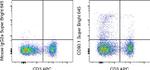 CD90.1 (Thy-1.1) Antibody in Flow Cytometry (Flow)