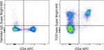 TCR beta Antibody in Flow Cytometry (Flow)