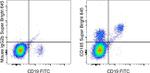 CD185 (CXCR5) Antibody in Flow Cytometry (Flow)