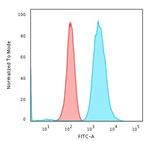 Fascin-1 (Reed-Sternberg Cell Marker) Antibody in Flow Cytometry (Flow)