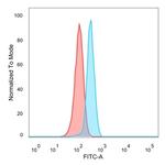 Superoxide Dismutase 1 (SOD1) (Antioxidant Enzyme) Antibody in Flow Cytometry (Flow)